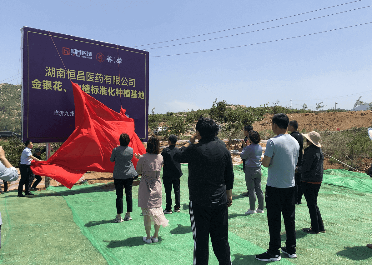 欣喜！湖南凯发k8一触即发的道地药材种植基地正式挂牌！